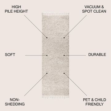 Mercer Shag Plush Tassel Area Rug